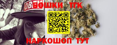 крисы Партизанск