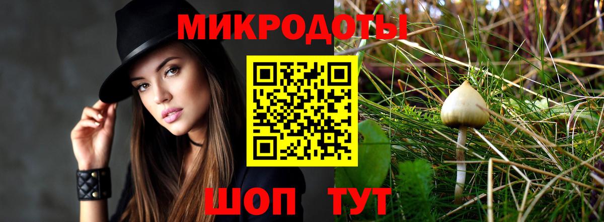 Галлюциногенные грибы MAGIC MUSHROOMS  Вход с VPN  Тамбов 