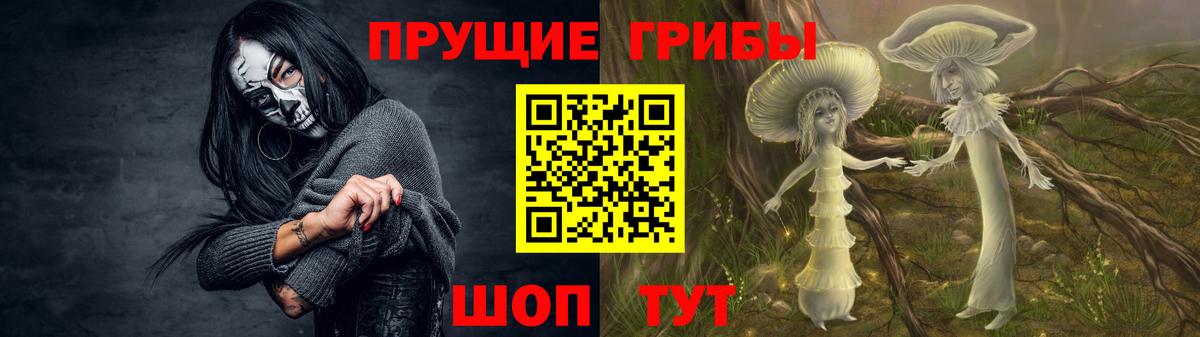 Галлюциногенные грибы Psilocybine cubensis Тамбов